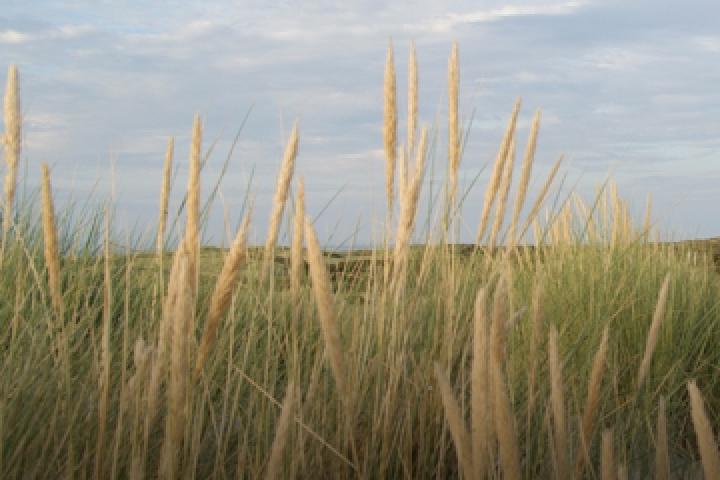 Omgeving